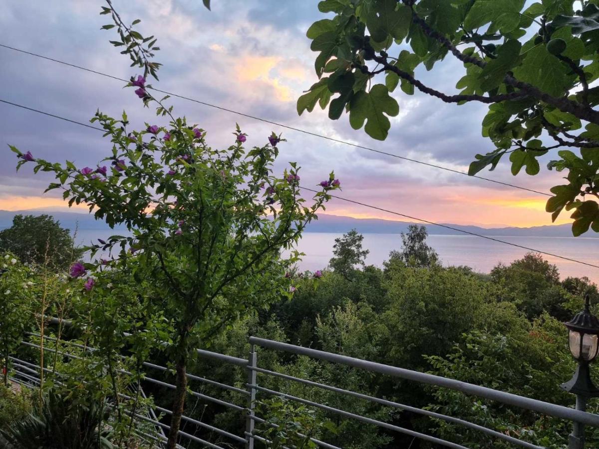 Vila Anastas Ohrid Luaran gambar