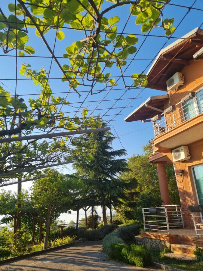 Vila Anastas Ohrid Luaran gambar